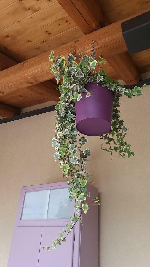 Bed & Breakfast Barbara Borgo Grotta Gigante Exterior foto